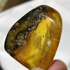 Polished Amber From The Baltic Sea In POLAND 11g Top Quality Piece picture