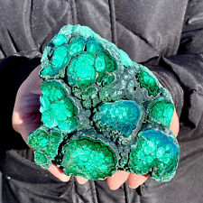 2.46LB  Natural tortoise Malachite transparent cluster coarse mineral sample picture