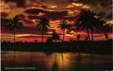 Vintage Postcard- . FLORIDA SUNSET. UnPost 1910 picture