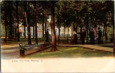 Vintage Postcard The Park Medina OH Ohio c. 1901-1907                      F-146 picture