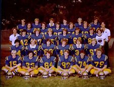 Los Altos High School Boys Football Team / 1970's / 80's - Original picture