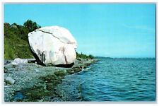 c1960's Rock on the Beach White Rock British Columbia Canada Postcard picture