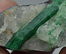 WOW Aesthetic Natural Top Green Color Emerald Crystal On Quartz Matrix 215 Carat picture
