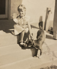 1948 Cute Adorable Young Girl w/ Pigtails Petting Dog Puppy Original Photo P11v6 picture