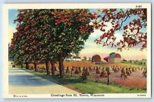c1940's Greetings From Mt. Morris Highway Wisconsin WI Correspondence Postcard picture