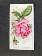 1926 Wills Roses Card # 46 Premier (VG/EX) picture