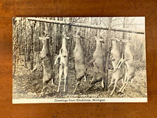 MI, Michigan, RPPC, Gladstone Greetings, Six Dead Deer Hanging From Log, ca 1950 picture