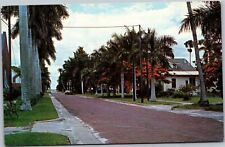 Postcard FL Punta Gorda - palm-tree lined street picture