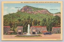Chimney Rock Mountain North Carolina, Entrance, Hickory Nut Falls, VTG Postcard picture
