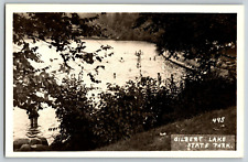 RPPC Real Photo Postcard - New York - Gilber Lake State Park - Unposted picture