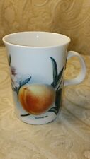 Dunoon Orchard Fruit 8 oz Stoneware mug Made in England fine bone china  picture