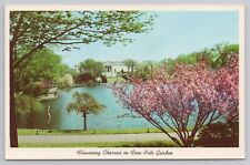 Cleveland Ohio Flowering Cherries Fine Art Garden Cleveland Museum 1962 Postcard picture