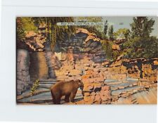 Postcard Bear Pits Forest Park St. Louis Missouri USA picture