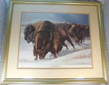 VINTAGE CAL MASSEY GOLDEN BUFFALOES UNIVERSITY OF COLORADO SIGNED PRINT 40/950 picture