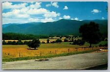Great Smoky Mountains National Park TN Thunderhead Mountain Chrome Postcard picture