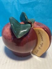 Vintage Red Delicious Apple Halves SALT N PEPPER SHAKER Set 'Salt of the Earth' picture