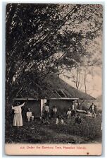 c1910's Family Under The Bamboo Tree Hawaiian Islands HI Antique Postcard picture