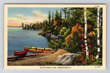Lynn MA-Massachusetts, Sulice Pond, Antique, Vintage Postcard picture