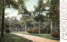 Postcard PA Scranton Walk in Nay Aug Park 1907 Undivided Back Vintage PC f8729 picture