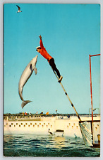 c1960s Marine Life Gulfpot Mississippi Dolphin Act Vintage Postcard picture