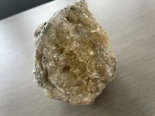 BEAUTIFUL Florida Estate 1 Lb 8 OZ Honey Yellow calcite crystals in fossil Shell picture