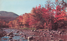 Massachusetts MA, Tranquil Stream & Fall Foliage Scenic View, Vintage Postcard picture