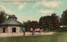 Baltimore, MD, Zoological Garden, Druid Hill Park, 1910 Vintage Postcard b5831 picture