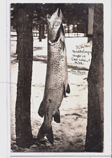Real Photo Postcard RPPC - Fishing 34# Muskellunge Muskie - Cass Lake Minnesota picture