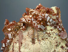 LARGE & SHOWY CASCADING VANADINITE CRYSTALS ON MATRIX, MIBLADEN, MOROCCO picture