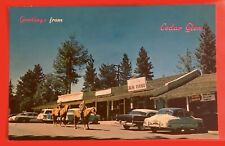 CEDAR GLEN, CALIF~VILLAGE near LAKE ARROWHEAD~ vtg CARS, HORSES ~postcard~ 1950s picture