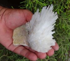 Scolecite Flower Crystals & Mineral Specimens. picture