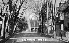 North Union Street View Milton Delaware DE Reprint Postcard picture