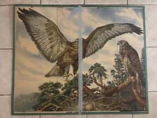 Original vintage zoological hard  school chart of Wood buzzard picture