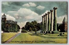 Across the Quad University of Missouri Columbia MO Postcard c1910s Sidewalk View picture