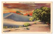 CA Sunset Desert Dunes & Palo Verde Trees Linen Vintage Postcard LA4 picture