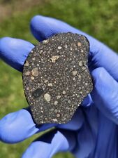 Meteorite**NWA 14916, LL3**13.535 grams, W/Gorgeous Colored Chondrules Type 3 picture