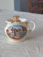 Vintage Syracuse, New York Souvenir Porcelain Cup, With Pig, Made In Germany picture