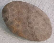 Lake Michigan Petoskey Stone- High Quality, Premium, Whole & Unpolished 84g picture