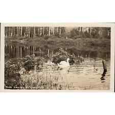 Swans of Lake Lytle Rockaway RPPC Oregon Postcard EKC UNP 1939-1959 Whiteborder picture
