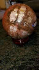 Petrified Wood Sphere  picture