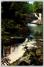 c1960s Winona Five Falls Bushkill Pennsylvania Pocono Mountain Vintage Postcard picture