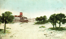 1914 ISLE OF PALMS S.C. SOUTH CAROLINA BEACH PALMETTOS CHARLESTON POSTCARD P355 picture