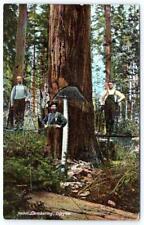 1907 LUMBERING LOGGERS POSING WITH SAW OREGON PORTLAND POSTMARK POSTCARD picture