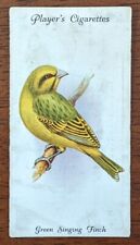 1933 Player Cigarette Card Aviary And Cage Birds #45 Green Singing Finch picture