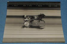 June 7 1975 Harness Racing Press Photo Horse 