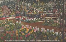c1930s Postcard Duke University, North Carolina Sarah P. Gardens UNP 5468.4 picture