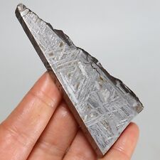 99g Muonionalusta Meteorite slice, Iron Meteorite,Meteor wish,Collection F152 picture