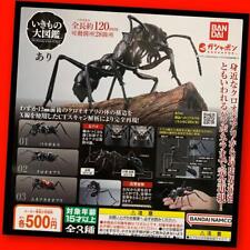 Gashapon The Diversity of Life on Earth Ant Set 3 Figure Bandai Japan Import picture