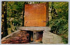 c1960s Eternal Flame Oconaluftee Cherokee Reservation NC Vintage Postcard picture