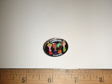 Celebrate Diversity Pin - Oval - by Education People picture